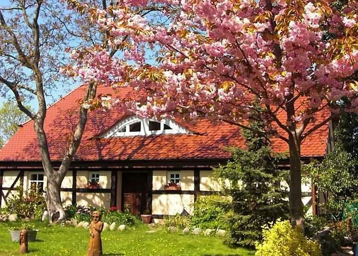 Ruegen 119 Groß Schoritz